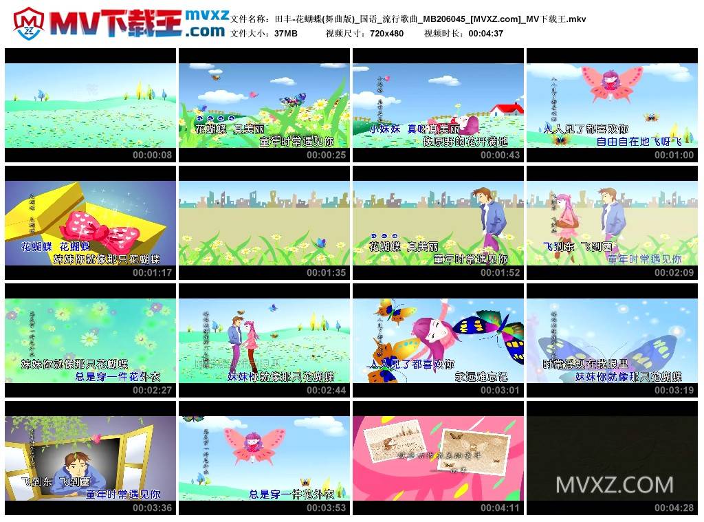 田丰-花蝴蝶(舞曲版)_国语_流行歌曲_MB206045
